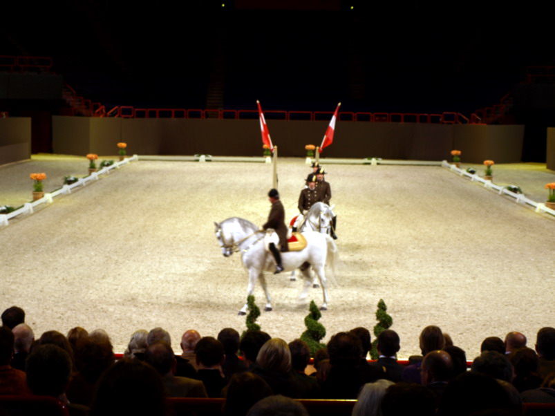 ecoled'equitation de vienne5