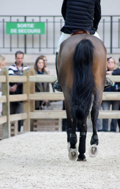 Saut Hermès 2018