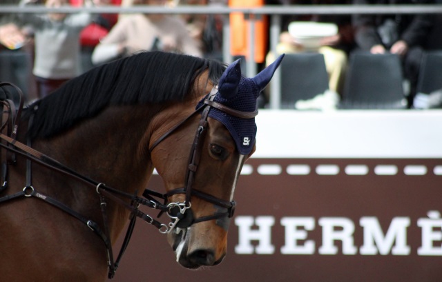 Saut Hermès 2018