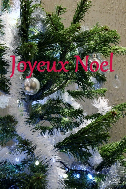 Joyeux noel 2019